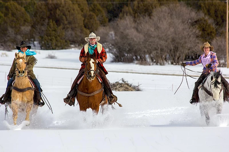 Horseback & Sleigh rides Telluride
